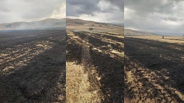 Elazığ'da korkutan yangın