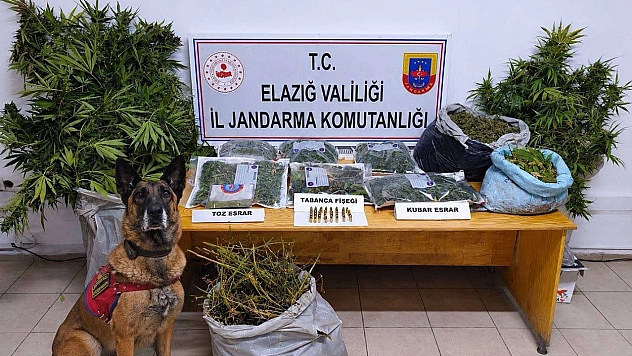 Elazığ'da köydeki kenevir tarlasına jandarma baskını: 3 tutuklama