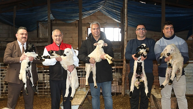 Elazığ'da küçükbaş hayvancılık işletmesine ziyaret