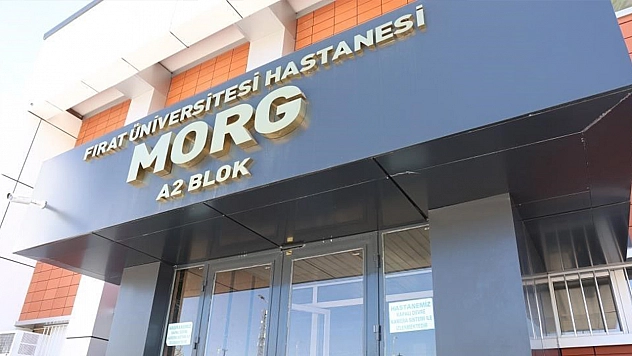 Elazığ'da motosikletin çarptığı yaya hayatını kaybetti