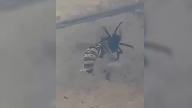 Elazığ'da nefes kesen tuzak