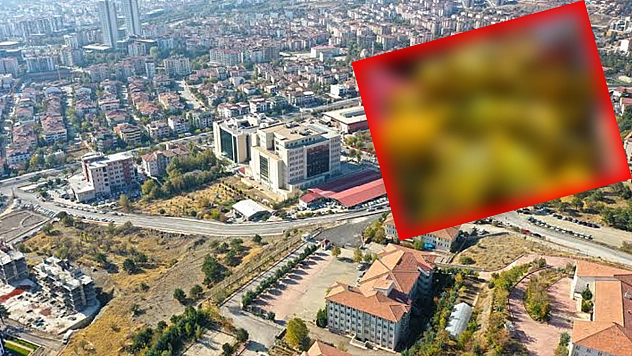 Elazığ'da nerden geldiğini duyan sıraya girdi: Tanesi 20 liradan satıldı poşet poşet alındı