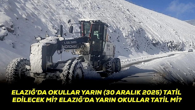 Elazığ'da okullar yarın (30 Aralık 2025) tatil edilecek mi? Elazığ'da yarın okullar tatil mi?
