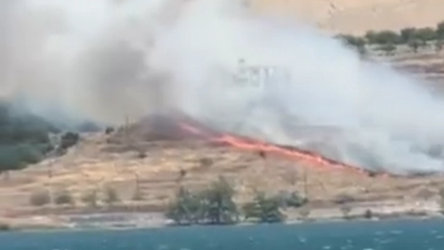 Elazığ'da orman yangını