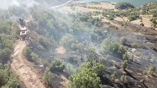 Elazığ'da ormanlık alanda çıkan yangın büyümeden söndürüldü
