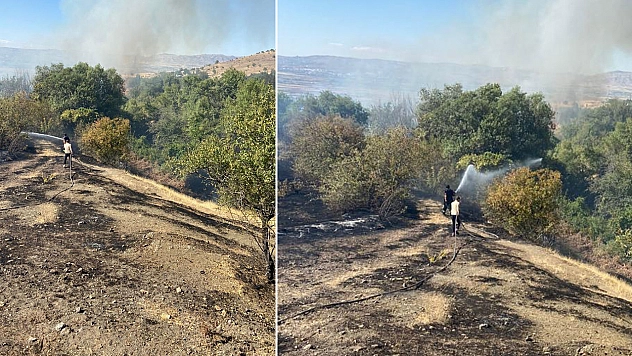 Elazığ'da Ormanlık Alanda Korkutan Yangın