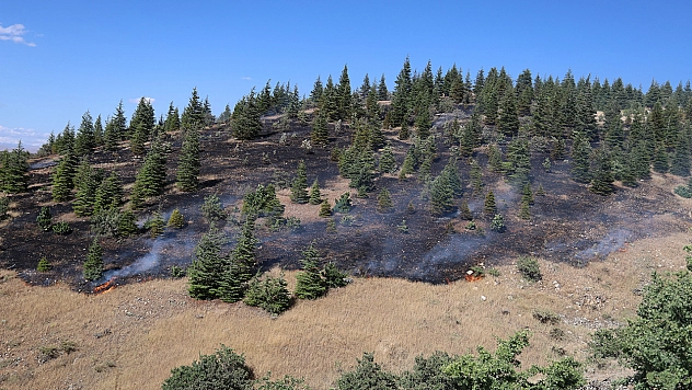 Elazığ'da Ormanlık Alanda Yangın