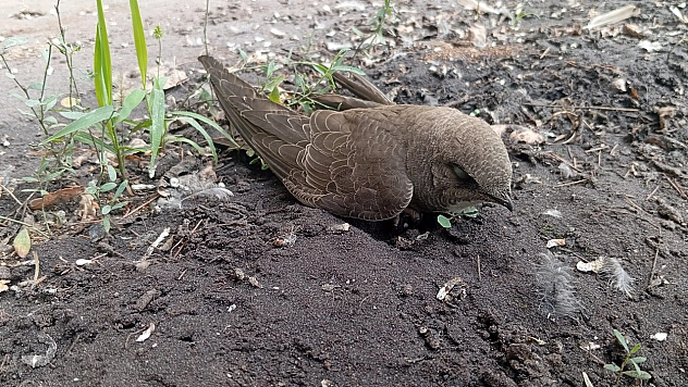 Elazığ'da örnek davranış