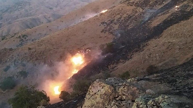 Elazığ'da örtü yangını: 170 dönümlük alan zarar gördü