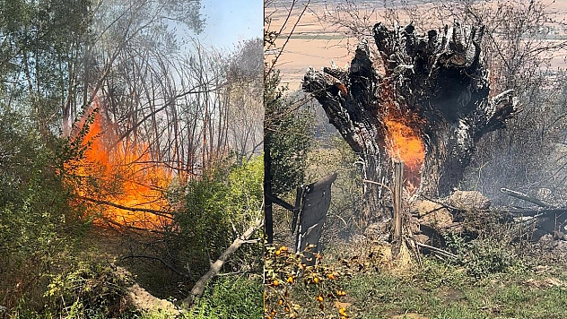 Elazığ'da otluk alanda yangın