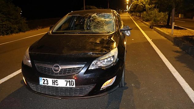 Elazığ'da otomobilin çarptığı kadın kurtarılamadı