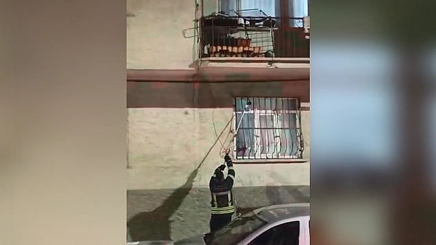 Elazığ'da pencere korkuluğuna yılan çıktı
