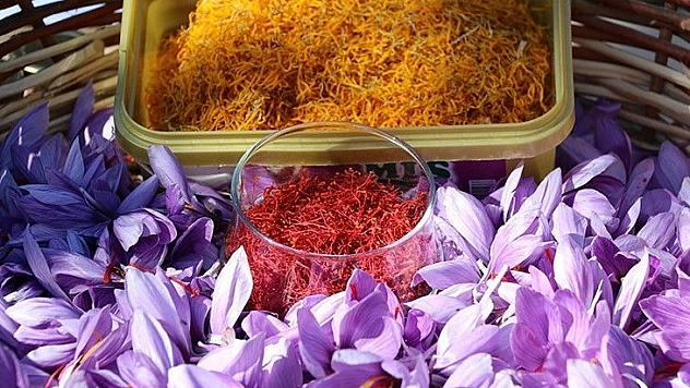 Elazığ'da Safran Bitkisi Hasadı Gerçekleşti…