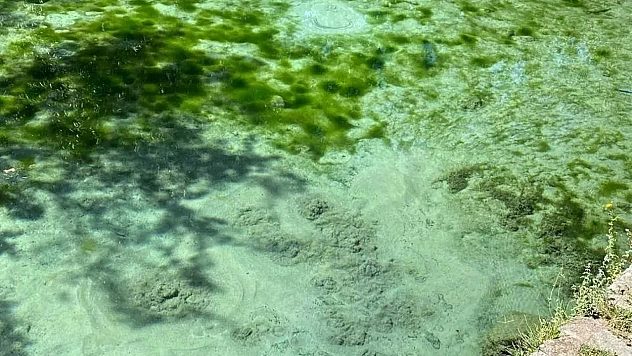 Elazığ'da saklı bir cennet: Gizemli efsanesiyle merak uyandırıyor