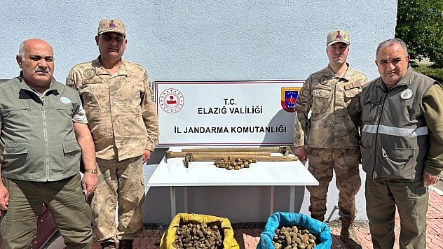 Elazığ'da Salep Bitkisi Toplayan 4 Kişiye İdari Para Cezası Uygulandı