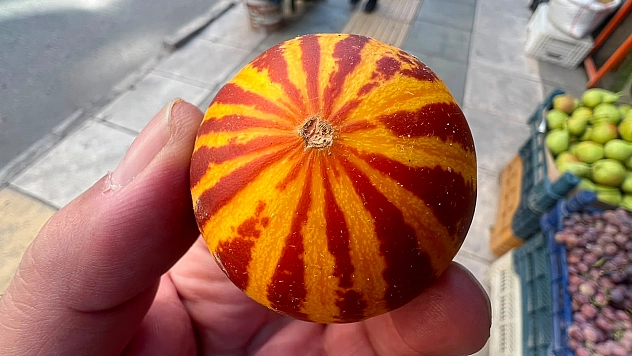 Elazığ'da şamama kavunu tezgahlardaki yerini aldı