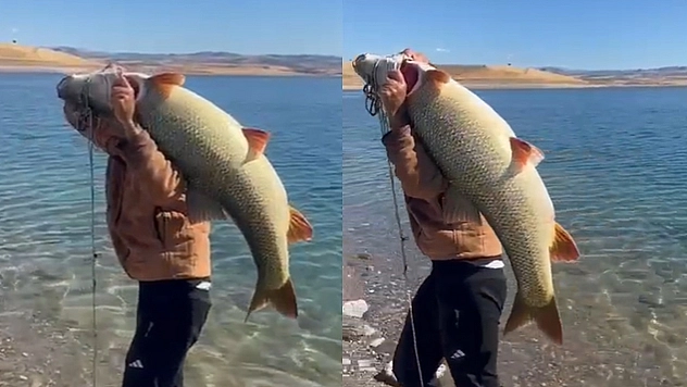 Elazığ'da şaşkınlık yaratan av: 1.5 Metrelik dev balık!