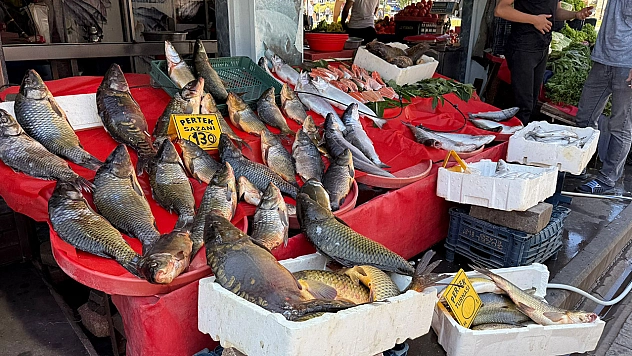 Elazığ'da sezon açıldı satıcılar umduğunu bulamadı