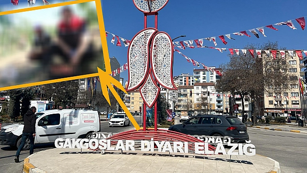 Elazığ'da Sezon Başladı Her Yerde Göreceksiniz