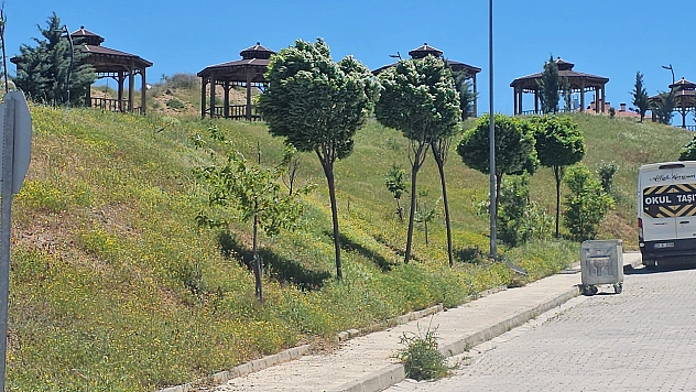 Elazığ'da şiddetli rüzgar etkili oldu