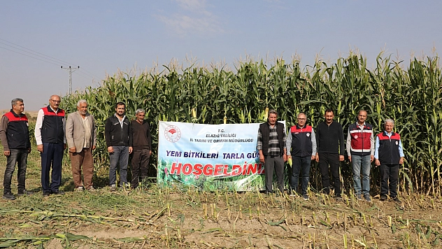Elazığ'da silajlık mısır hasadı başladı: Üreticilere destek sürüyor