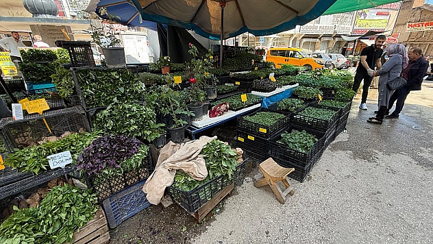 Elazığ'da Şıra Meydanı Cıvıl Cıvıl