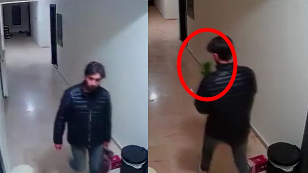 Elazığ'da sıradışı hırsızlık: Çiçek çaldı