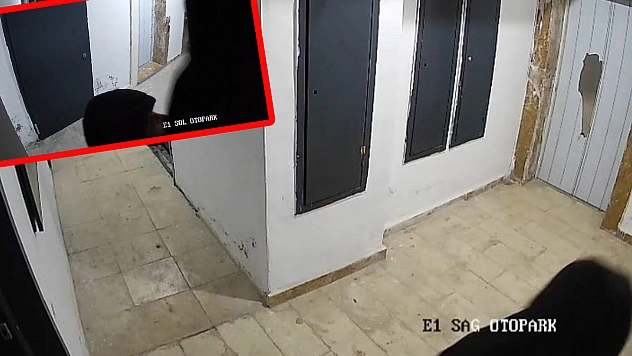 Elazığ'da sitede korku dolu anlar: Kameraları parçaladı