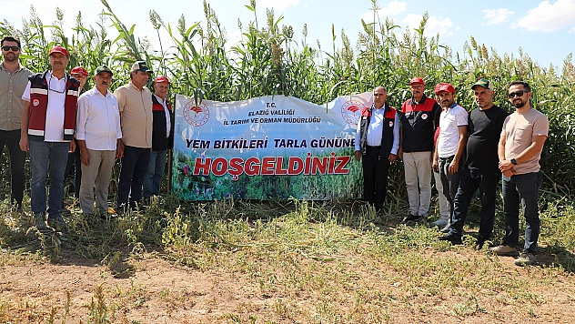 Elazığ'da sorgum sudan otu melezi üretimi yaygınlaşıyor