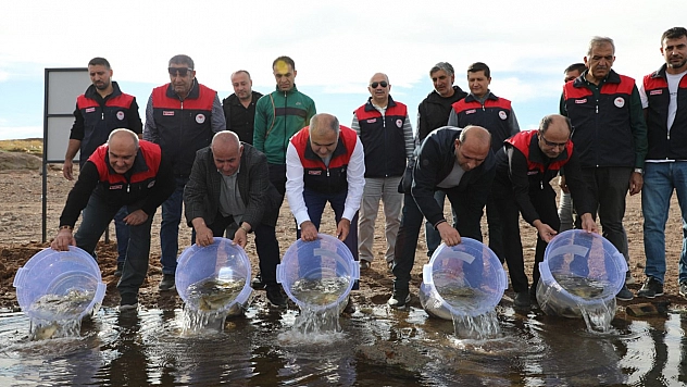 Elazığ'da su kaynakları canlanıyor: Kalecik Barajı'na 11 bin 800 sazan yavrusu bırakıldı