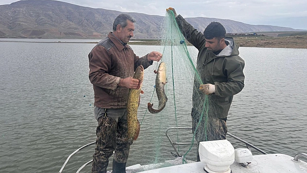 Elazığ'da su ürünleri araştırma çalışmaları sürüyor
