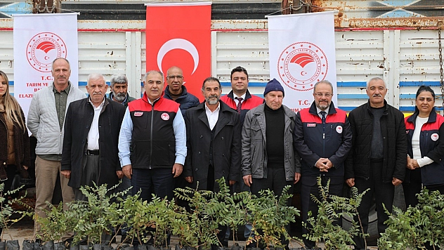 Elazığ'da sumak üretimi artıyor