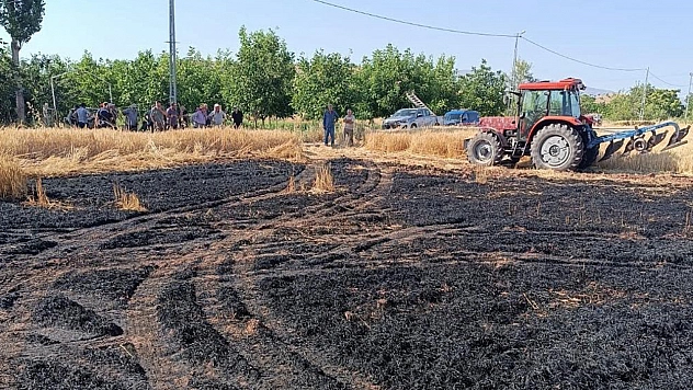 Elazığ'da tarla alevlere teslim oldu