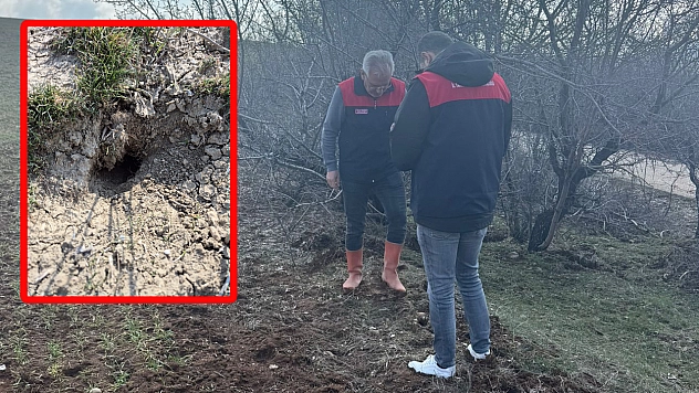 Elazığ'da tarla faresine karşı seferberlik