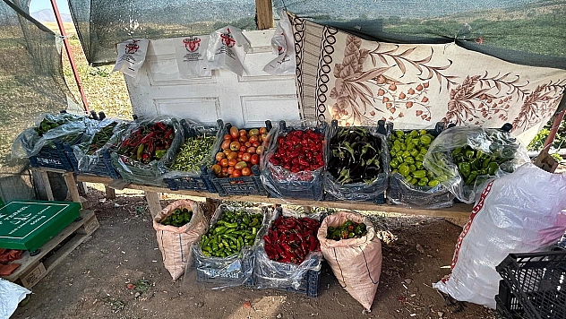 Elazığ'da tarladan sofraya uygun fiyatlı sebze