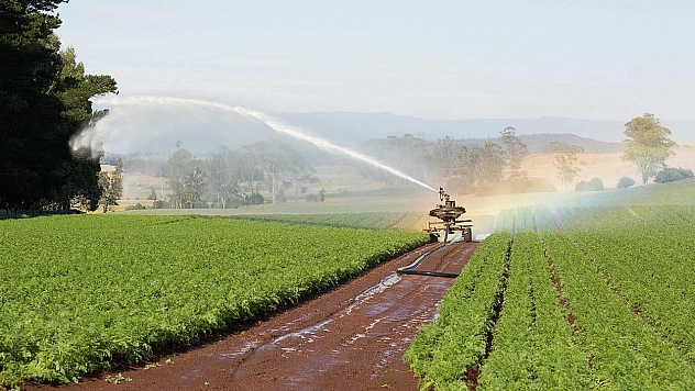 Elazığ'da tarlalar tek tek tespit ediliyor! Elazığ'da 45 günlük süre başladı… Hepsi kiraya verilecek