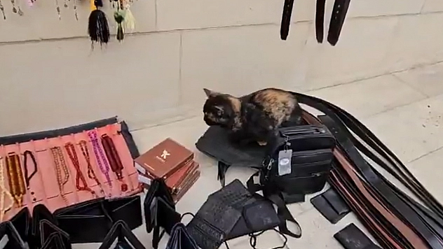 Elazığ'da tezgahını geç açan satıcıya kedisinin gösterdiği tepki, gündem oldu