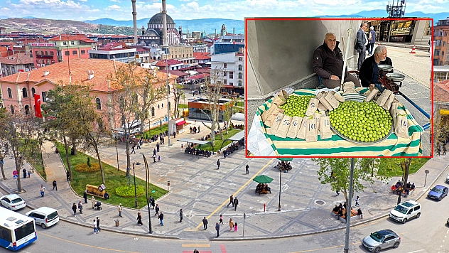 Elazığ'da tezgahlarda yerini aldı kilosu 500 liradan satılıyor