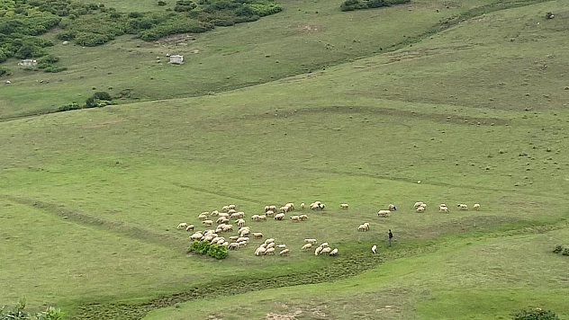 Elazığ'da ucuz diye tüketip sağlığınızdan olmayın