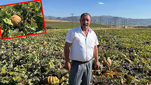 Elazığ'da üretilen o ürün dünyaya açılıyor