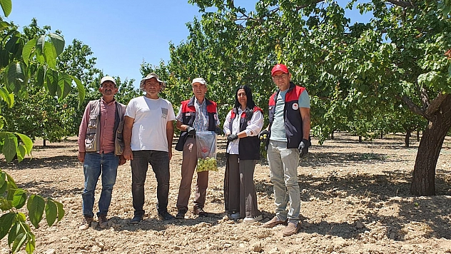 Elazığ'da üretim alanlarında pestisit takibi