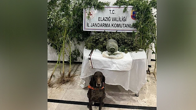 Elazığ'da uyuşturucu operasyonu: 1 kişi tutuklandı