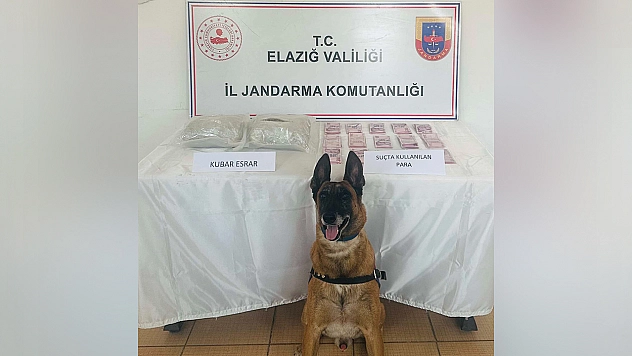 Elazığ'da uyuşturucuya geçit yok