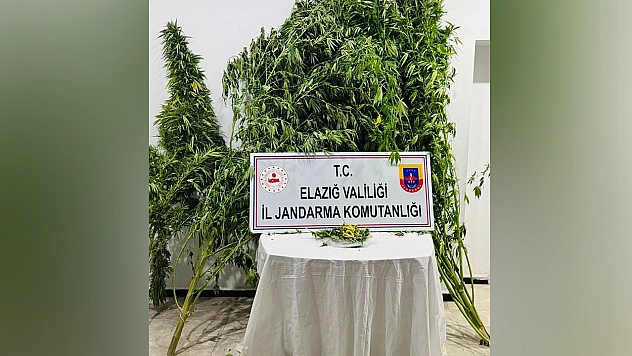 Elazığ'da uyuşturucuya geçit yok!