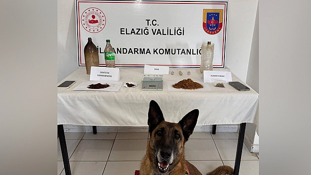 Elazığ'da uyuşturucuya geçit yok!