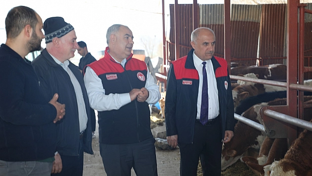 Elazığ'da uzman eller sahada