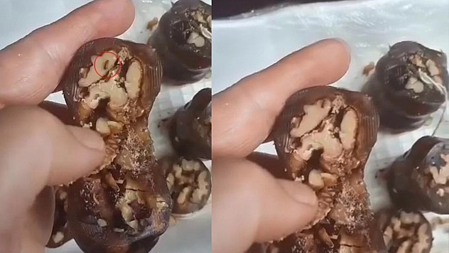 Elazığ'da vatandaşın aldığı orcikten böcek çıktı