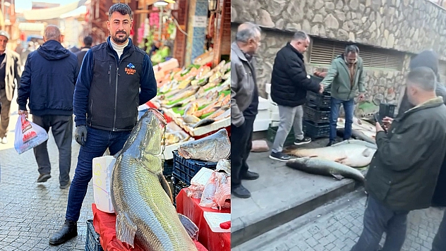 Elazığ'da vatandaşlar dev balık için yarıştı