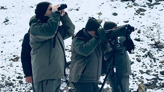 Elazığ'da yaban keçisi envanter çalışmaları