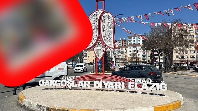 Elazığ'da yağmur bereketiyle geldi